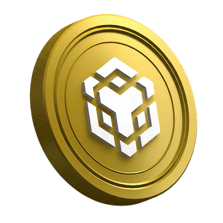 Moneta della criptovaluta Binance BNB sulla pagina di guida per nuovi trader